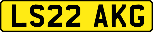 LS22AKG