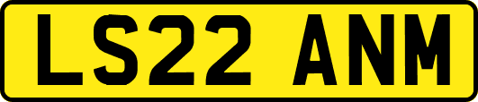 LS22ANM