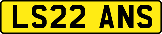 LS22ANS