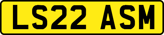 LS22ASM