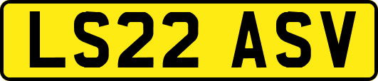 LS22ASV