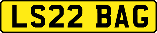 LS22BAG
