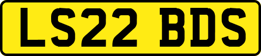 LS22BDS