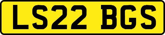 LS22BGS