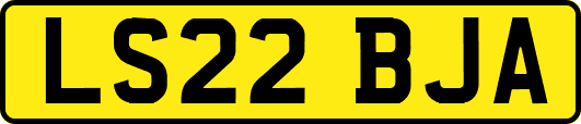 LS22BJA