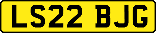 LS22BJG