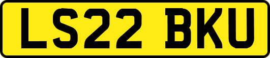 LS22BKU