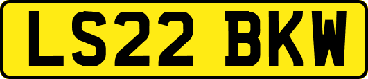 LS22BKW