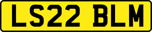 LS22BLM