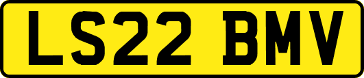 LS22BMV