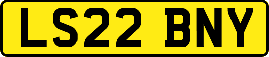 LS22BNY
