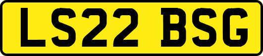 LS22BSG