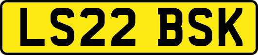 LS22BSK