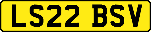 LS22BSV