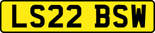 LS22BSW