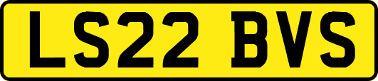LS22BVS