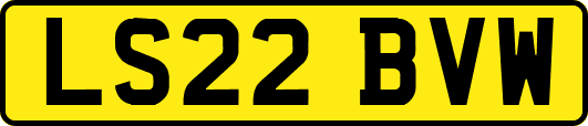 LS22BVW