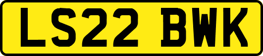 LS22BWK