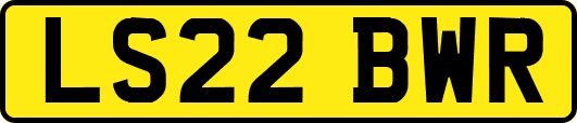 LS22BWR
