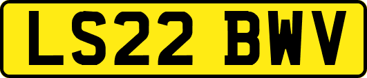 LS22BWV