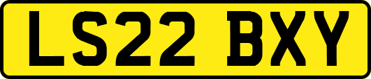 LS22BXY