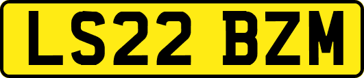 LS22BZM