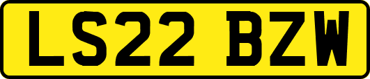 LS22BZW