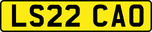LS22CAO