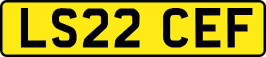 LS22CEF