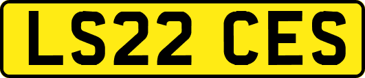 LS22CES
