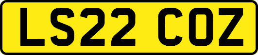LS22COZ