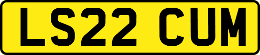 LS22CUM
