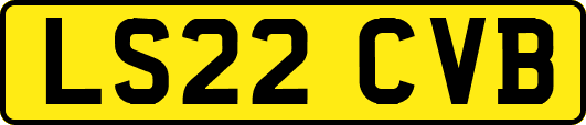 LS22CVB