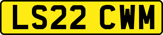 LS22CWM