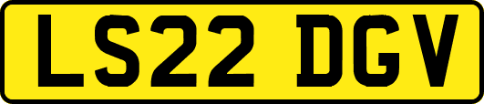 LS22DGV