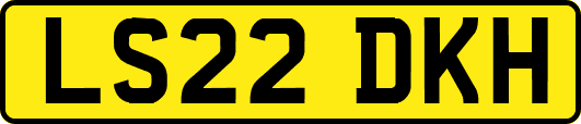 LS22DKH