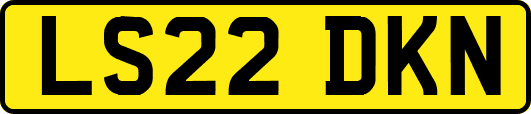 LS22DKN