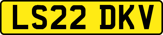 LS22DKV