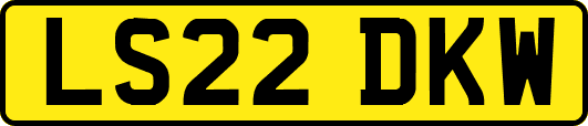 LS22DKW