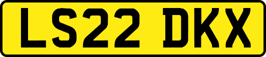 LS22DKX