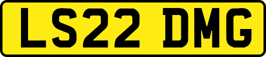 LS22DMG