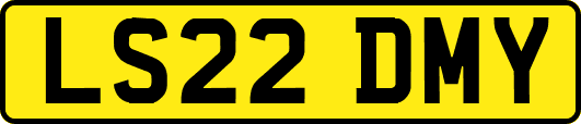 LS22DMY