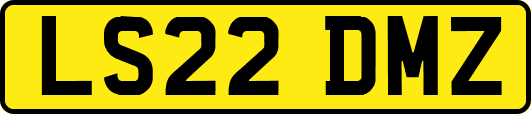 LS22DMZ