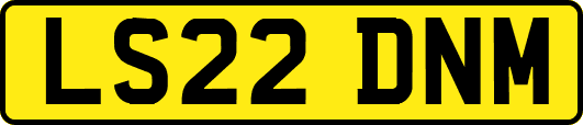 LS22DNM