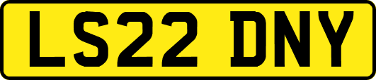 LS22DNY