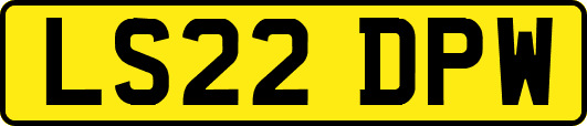 LS22DPW