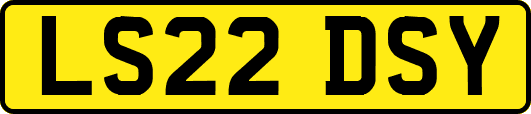LS22DSY