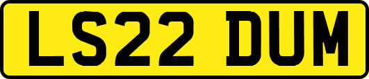 LS22DUM