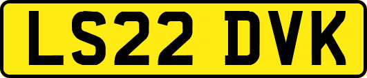 LS22DVK