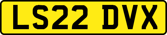 LS22DVX